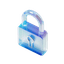 Offensive Security